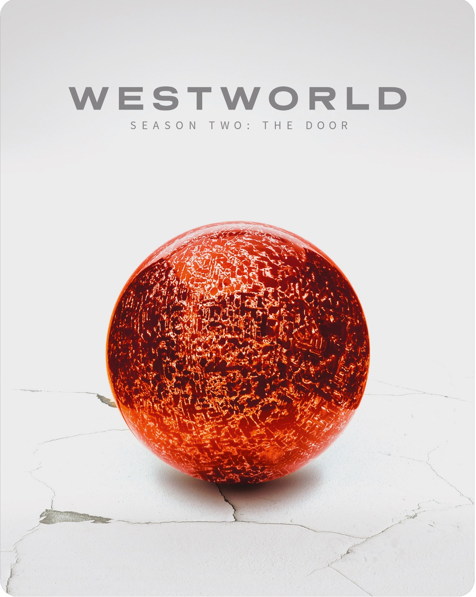 Westworld: Season Two - The Door